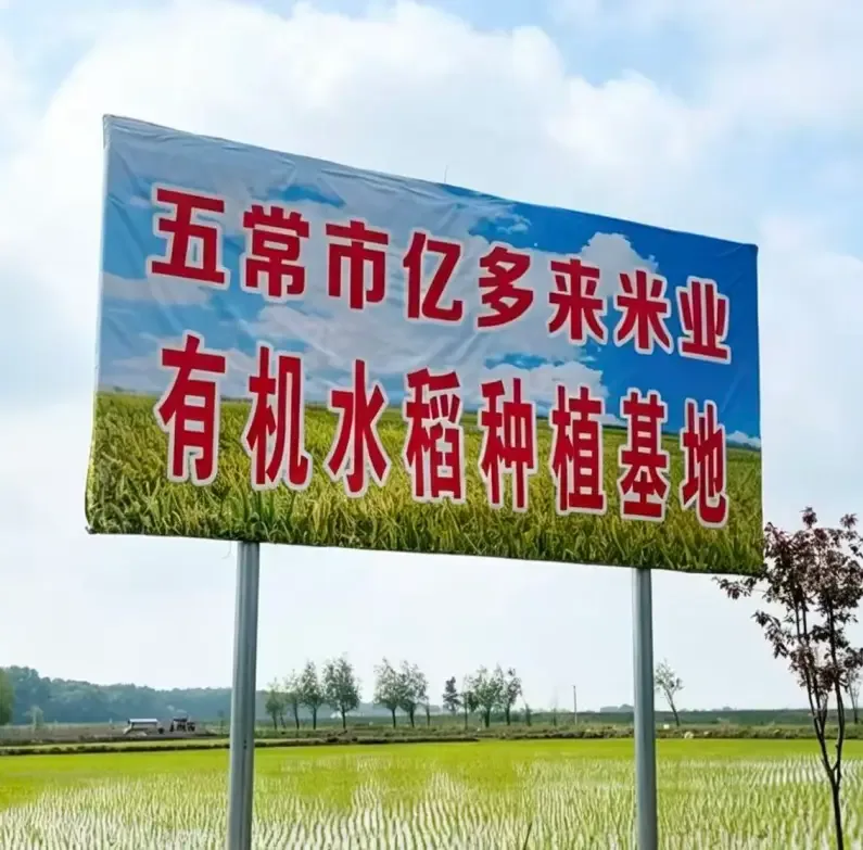 大米越贵越好？这3个“智商税”大米，劝你别买